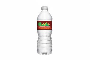 Water Bottle 500 ml